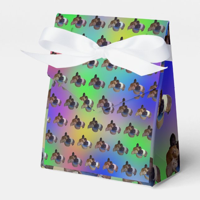 Rainbow Guinea Pigs Pattern, Birthday Favour Box (Front Side)