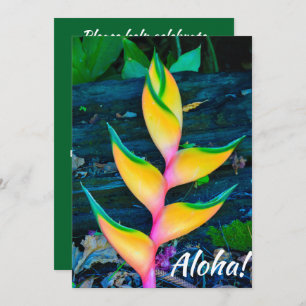 Rainbow Heliconia, Haena, Kauai, Hawaii Invitation