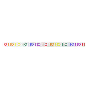 Rainbow Ho Ho Ho Ribbon Satin Ribbon