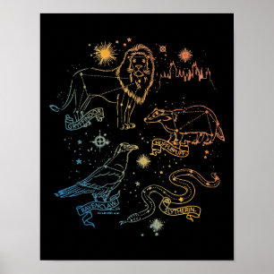 Rainbow HOGWARTS™ Houses Constellations Poster