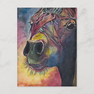 Rainbow horse postcard