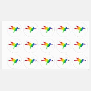 Rainbow Hummingbird