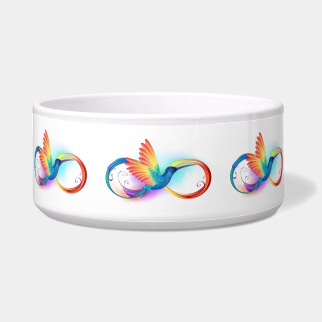 Rainbow Hummingbird with Infinity symbol (Front)