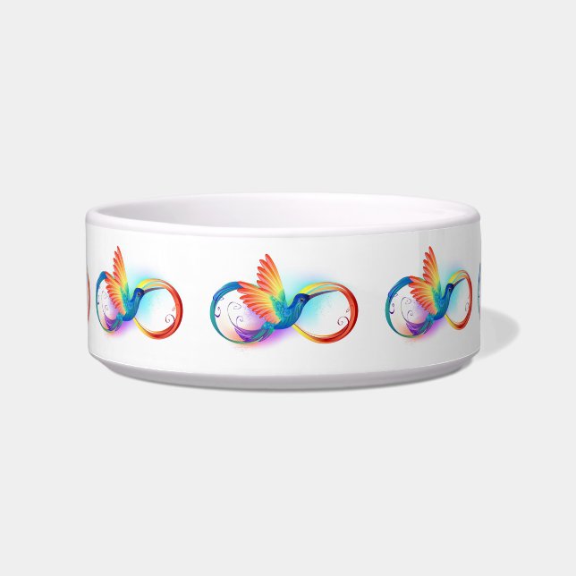 Rainbow Hummingbird with Infinity symbol Bowl (Front)
