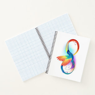 Rainbow Hummingbird with Infinity symbol Notebook