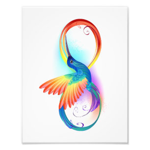 Rainbow Hummingbird with Infinity symbol Photo Print