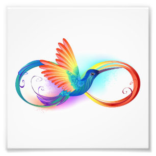 Rainbow Hummingbird with Infinity symbol Photo Print