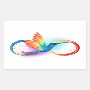 Rainbow Hummingbird with Infinity symbol Rectangular Sticker