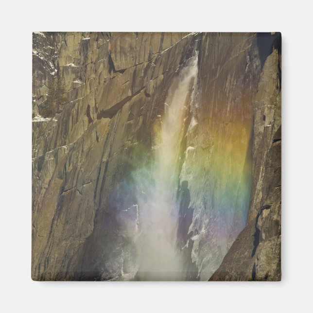 Rainbow in Upper Yosemite Falls in Yosemite Magnet (Front)