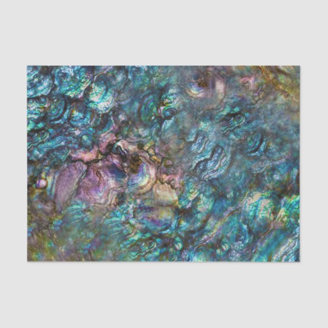 Rainbow Iridescent Abalone Beach Sea Shell Tissue Paper (Front)