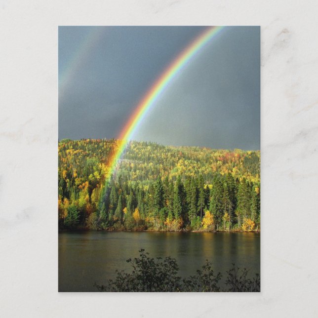 rainbow irish luck lucky nature sky water trees postcard (Front)