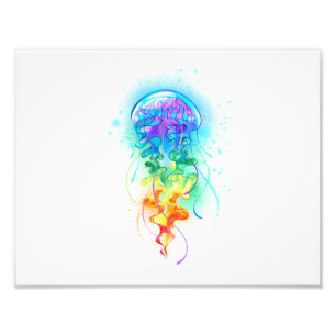 Rainbow jellyfish photo print