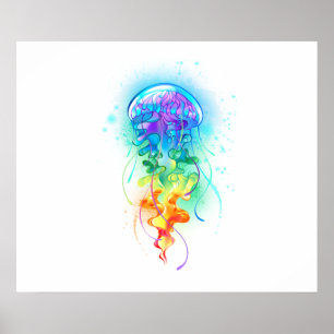 Rainbow jellyfish poster