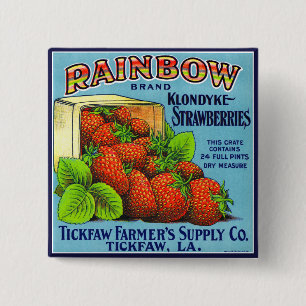 Rainbow Klondyke Strawberries 15 Cm Square Badge