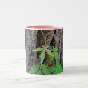 Rainbow Leaves mug