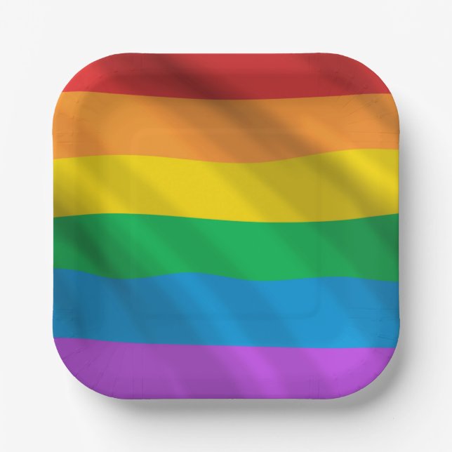 Rainbow LGBT flag  Paper Plate (Front)
