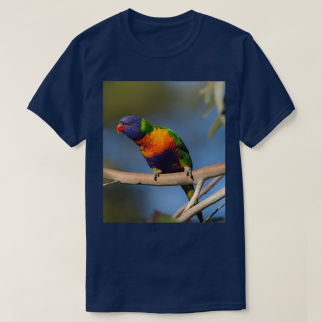 Rainbow Lorikeet 4 T-Shirt (Design Front)