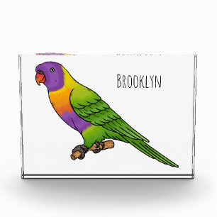 Rainbow lorikeet bird cartoon illustration photo block