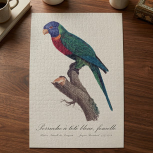 Rainbow lorikeet female, Trichoglossus moluccanus Jigsaw Puzzle