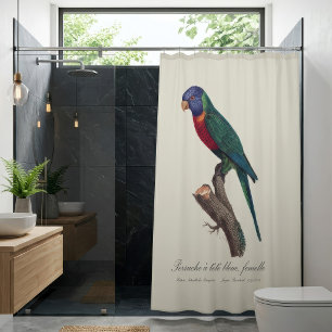 Rainbow lorikeet female, Trichoglossus moluccanus Shower Curtain
