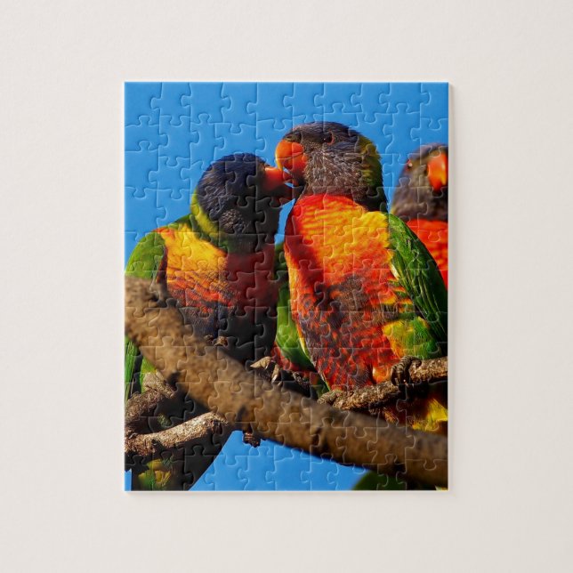Rainbow Lorikeet jigsaw puzzle (Vertical)
