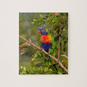 Rainbow lorikeet jigsaw puzzle