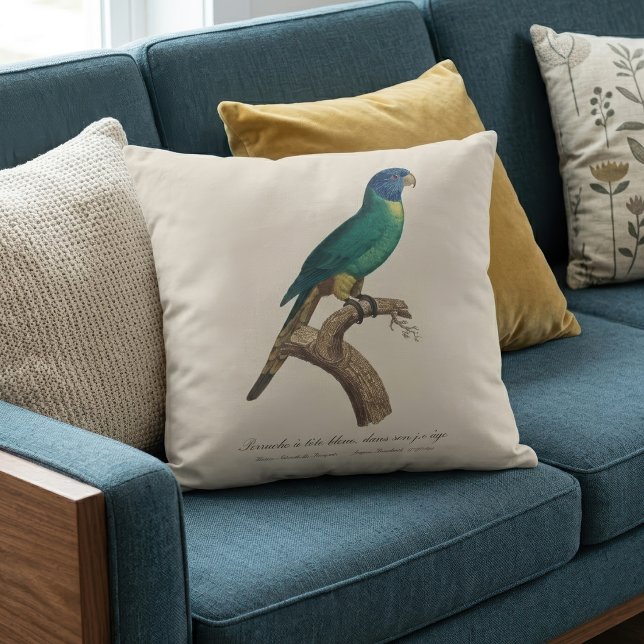 Rainbow lorikeet juvenile Trichoglossus moluccanus Cushion (Perruche a tete bleue / Rainbow lorikeet, juvenile. Throw Pillow)