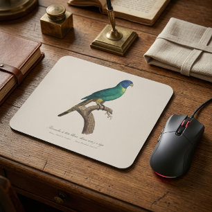 Rainbow lorikeet juvenile Trichoglossus moluccanus Mouse Pad
