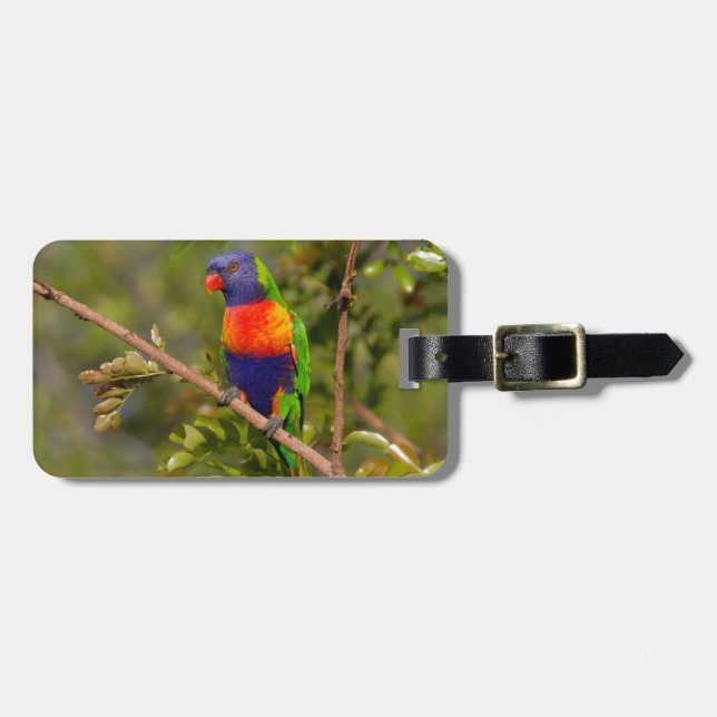 Rainbow lorikeet luggage tag (Front Horizontal)