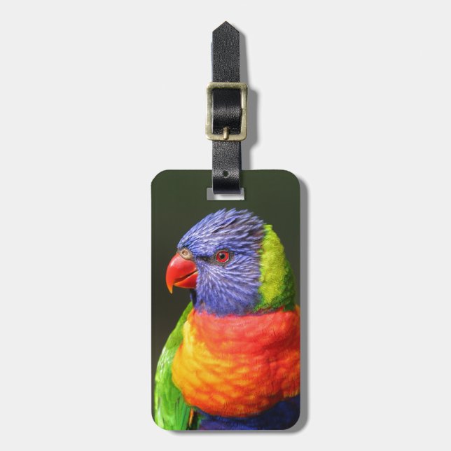 Rainbow Lorikeet Luggage Tag (Front Vertical)