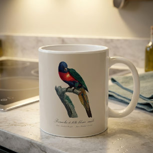 Rainbow Lorikeet Male, Trichoglossus Moluccanus Coffee Mug