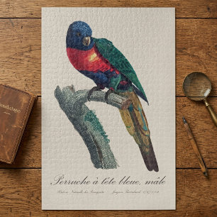 Rainbow Lorikeet Male, Trichoglossus Moluccanus Jigsaw Puzzle
