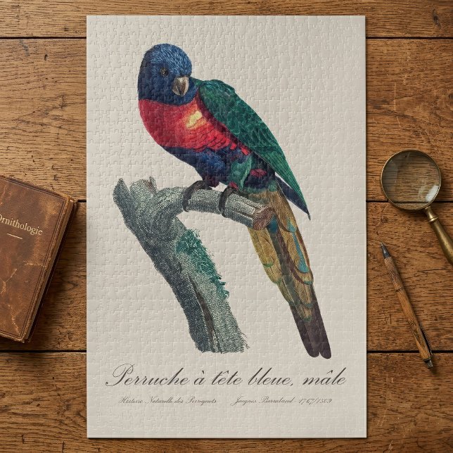 Rainbow Lorikeet Male, Trichoglossus Moluccanus Jigsaw Puzzle (Rainbow Lorikeet Male, Trichoglossus Moluccanus. Jigsaw Puzzle)