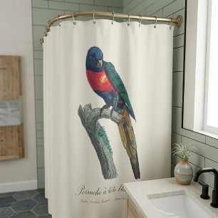 Rainbow Lorikeet Male, Trichoglossus Moluccanus Shower Curtain