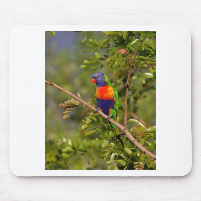 Rainbow lorikeet mouse pad (Front)