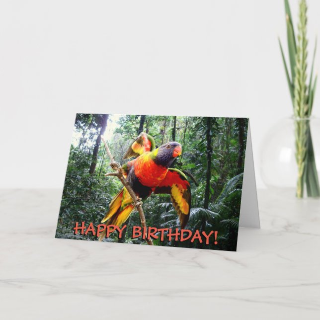 Rainbow lorikeet parrot customisable birthday card (Front)