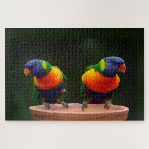 Rainbow Lorikeet Parrots Jigsaw Puzzle