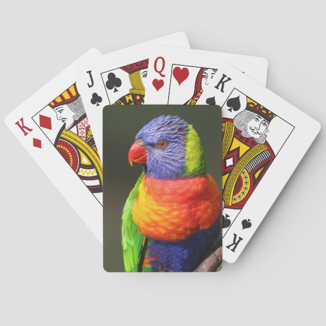 Rainbow Lorikeet Playing Cards (Back)