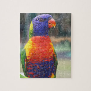 Rainbow Lorikeet (Trichoglossus haematodus 2 Jigsaw Puzzle