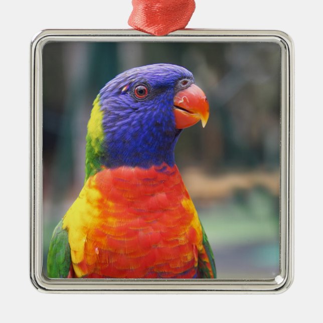Rainbow Lorikeet (Trichoglossus haematodus 2 Metal Tree Decoration (Front)