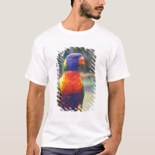 Rainbow Lorikeet (Trichoglossus haematodus 2 T-Shirt