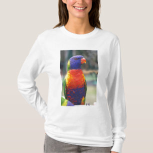 Rainbow Lorikeet (Trichoglossus haematodus 2 T-Shirt