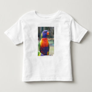 Rainbow Lorikeet (Trichoglossus haematodus 2 Toddler T-Shirt
