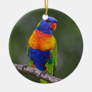 Rainbow Lorikeet Trichoglossus Haematodus Parrot Ceramic Tree Decoration
