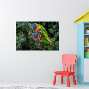Rainbow Lorikeets, colourful parrots, Poster