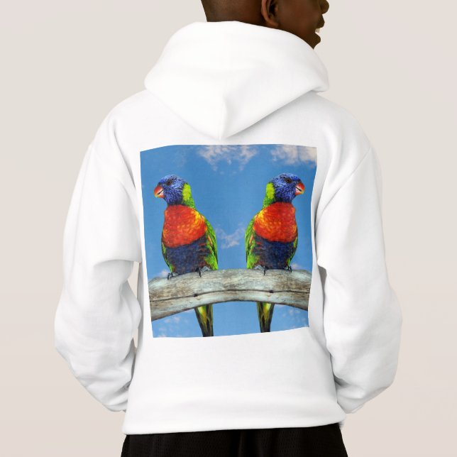 Rainbow lorikeets two perched on a branch (Back)