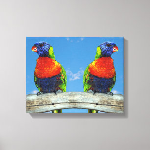 Rainbow lorikeets two perched on a branch canvas print