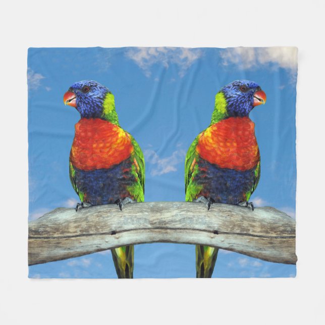 Rainbow lorikeets two perched on a branch fleece blanket (Front (Horizontal))