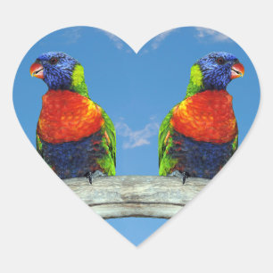 Rainbow lorikeets two perched on a branch heart sticker