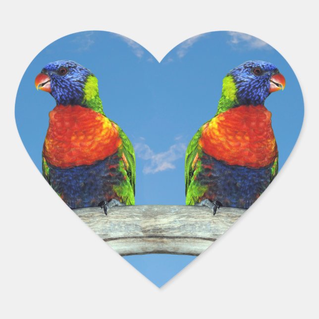 Rainbow lorikeets two perched on a branch heart sticker (Front)